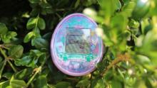 Tamagotchi, the popular toy from the 90s, is back once again with a new product called Tamagotchi On Wonder Garden. Analysts explain why the brand has found on and off success in the US while it stays hot in Japan. Tamagotchi tells CNN Business that in the US, they need to make the toy packaging bigger to signal to the American customer that it&#39;s worth $60, while in Japan, the toys continue to come in tiny pocket size keychains because it&#39;s just so ubiquitous.