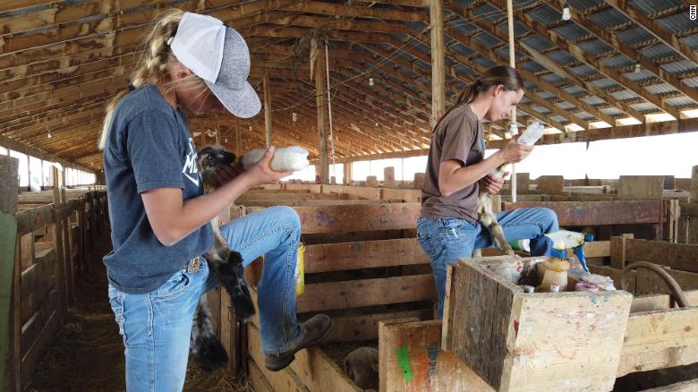 Coronavirus pandemic creates labor shortage for US farmers