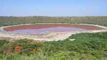 A general view of Lonar crater sanctuary lake is pictured in Buldhana district of Maharashtra state on June 11, 2020. - The lake has turned pink in colour which is believed that when the water level goes down, the salinity increases and warm water gives a rise to algae that tends to absord sunlight and changes the colour of the water, local media reported. (Photo by Santosh JADHAV / AFP) (Photo by SANTOSH JADHAV/AFP via Getty Images)