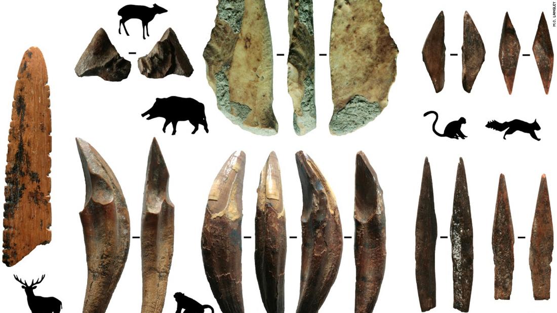 These tools, made from the bones and teeth of monkeys and smaller mammals, were recovered from Fa-Hien Lena cave in Sri Lanka. The sharp tips served as arrow points.