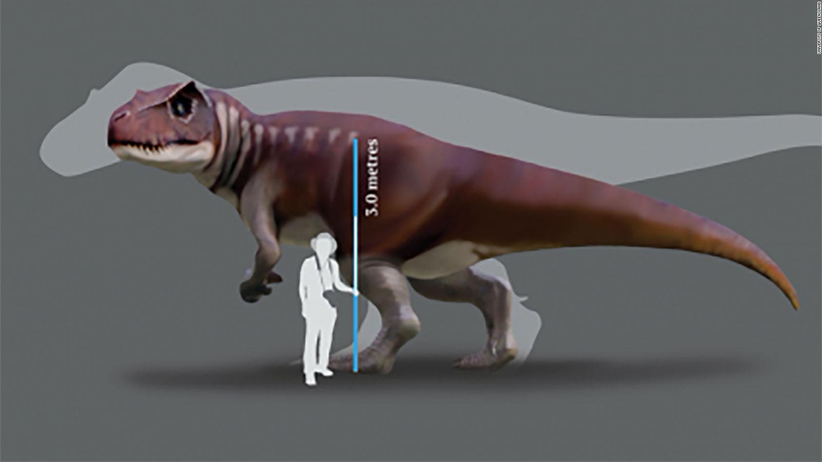 largest carnivorous dinosaur