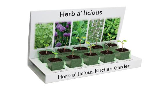 Grow Your Own Herb-a-Licious Kit