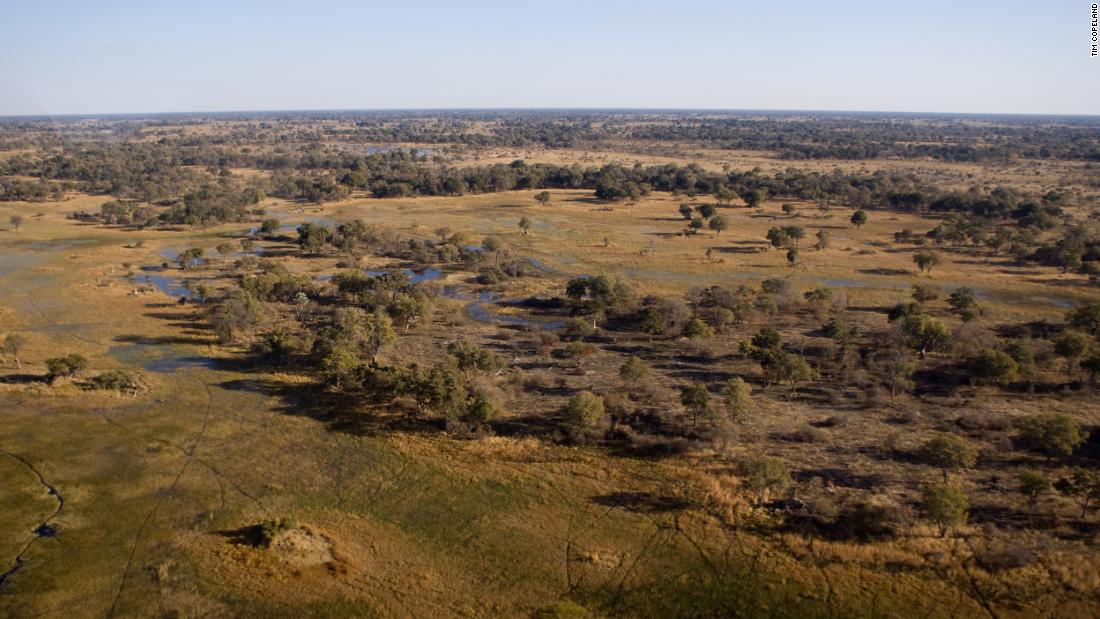 The Okavango Delta in Botswana showcases a patchy landscape where the ability to plan results in a huge survival payoff.