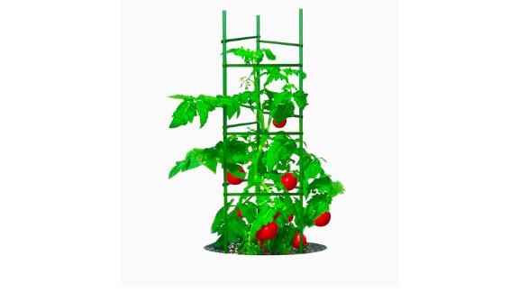 Gardeners Blue Ribbon 60-Inch Green Steel Tomato Cage