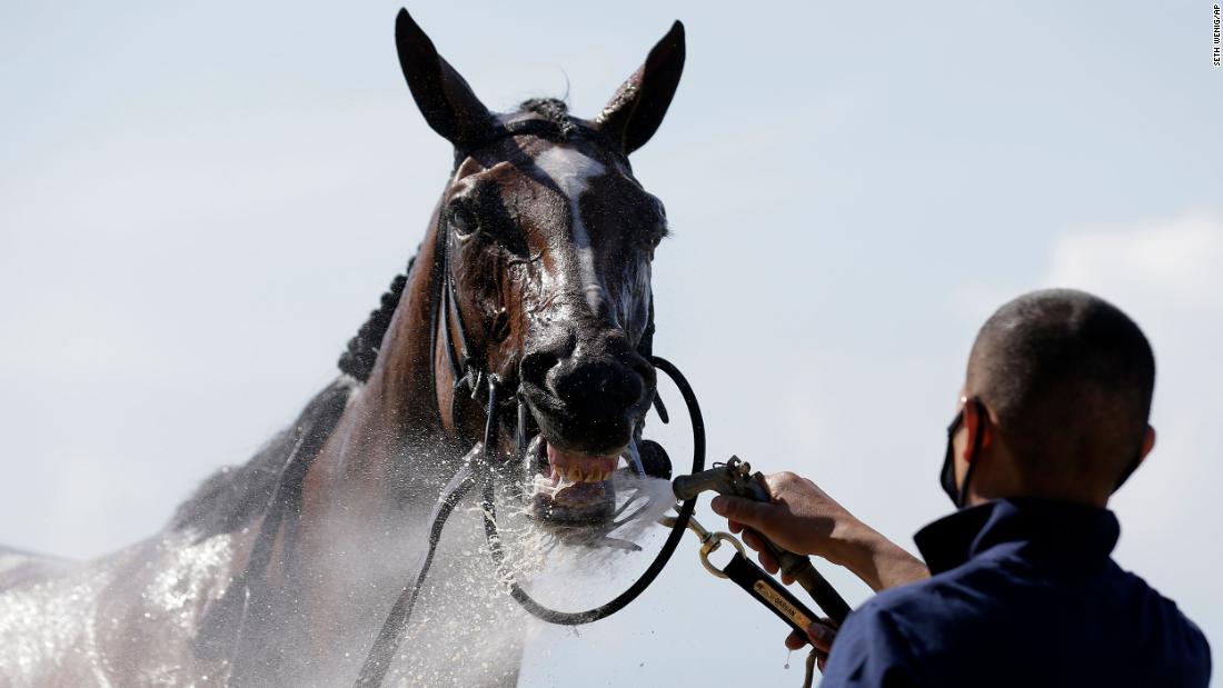 A horse gets hosed down on Saturday.