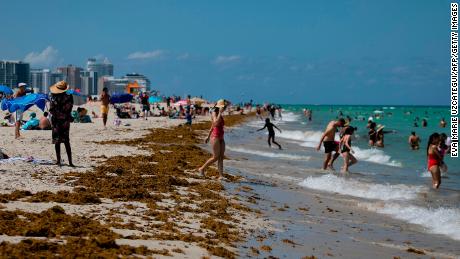 People gather on the beach in Miami Beach, Florida on June 16, 2020. - Florida is reporting record daily totals of new coronavirus cases, but you&#39;d never know it looking at the Sunshine State&#39;s increasingly busy beaches and hotels. (Photo by Eva Marie UZCATEGUI / AFP) (Photo by EVA MARIE UZCATEGUI/AFP via Getty Images)