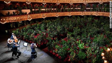 Barcelona opera house reopens with performance to 2,292 plants