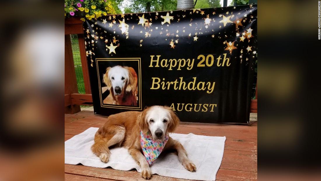 Tennessee dog Augie celebrates 20th birthday to oldest golden