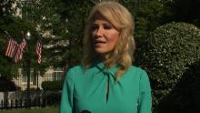 kellyanne conway 06242020