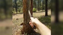 A man is seen throwing a knife at a tree in a screengrab from another video shared on the messaging app.