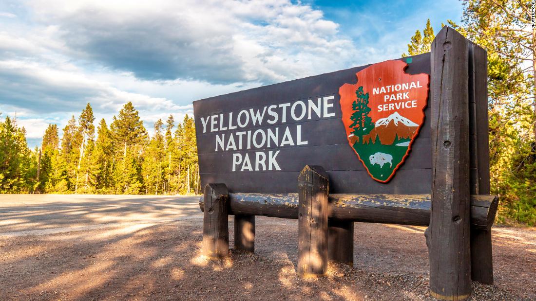 A 72-year-old woman was gored by a bison at Yellowstone National Park when she tried to take a picture - CNN