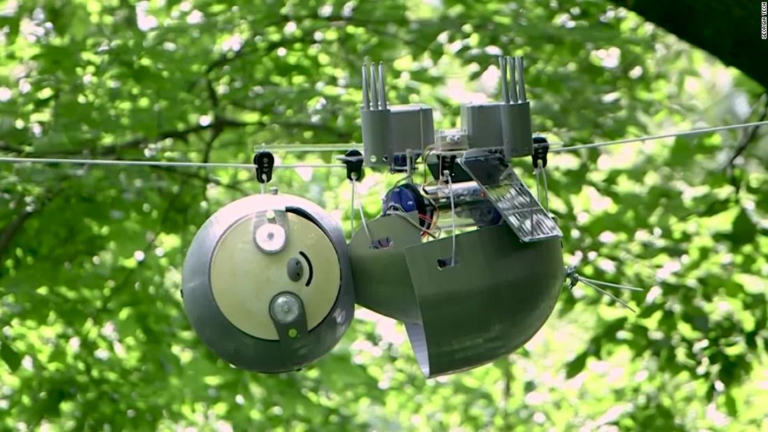 Meet SlothBot: the cutest robot fighting climate change - CNN