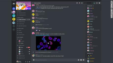 Screenshot of a Discord community server