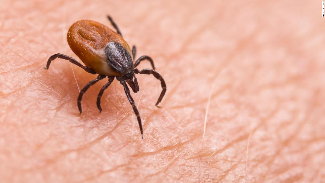 Why tick season could be worse in the summer of Covid-19 - CNN