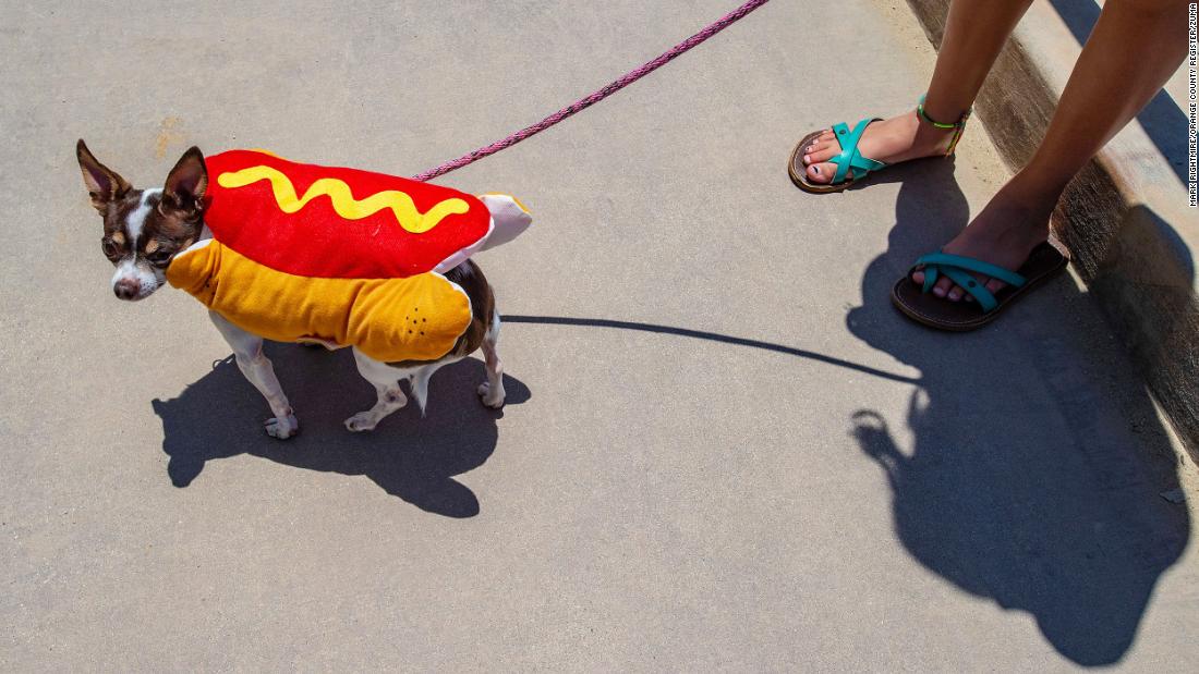 Lexi Edwards walks her dog Philly along the San Clemente Pedestrian Beach Trail in San Clemente, California.