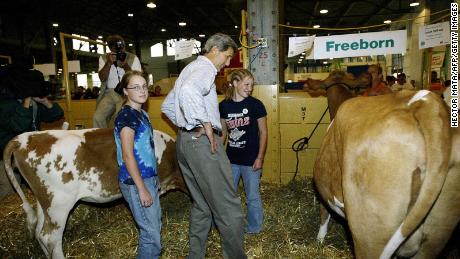 Then-Democratic presidential candidate John Kerry with cows at the Minnesota State Fair in St. Paul, Minnesota, in August 2004. 
