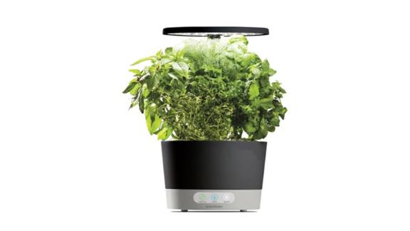 Aerogarden Sale: Grow Fresh Herbs And Veggies Without Leaving The House 