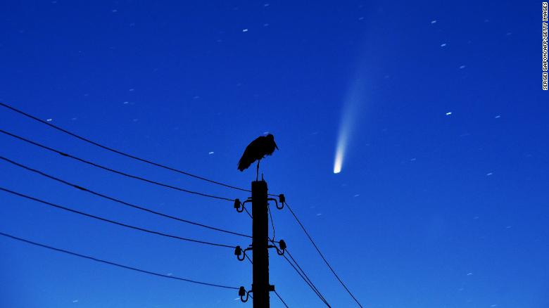 A stork stands on a power lines pillar as the comet NEOWISE is seen in the sky above the village of Kreva, some 100 km northwest of Minsk, early on July 13, 2020. 