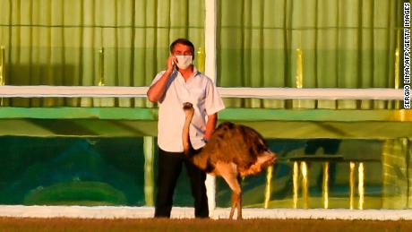 Bolsonaro speaking on a mobile phone next to an emu outside the Alvorada Palace in Brasilia, Brazil.