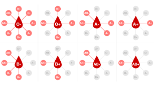 DIY Blood typing test kit - Make