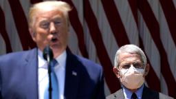 Anthony Fauci: Trump suggests he might fire infectious disease expert after election