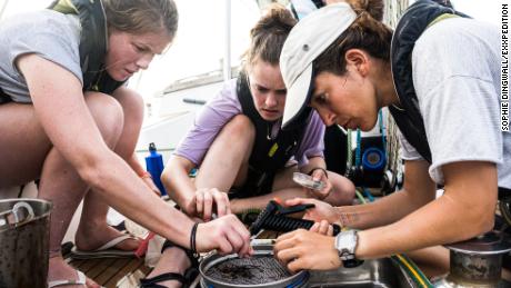 Examining a trawler sample aboard the SV TravelEdge, the vessel for the round the world eXXpedition.