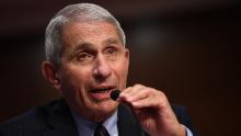 WASHINGTON, DC - JUNE 30:  Dr. Anthony Fauci, director of the National Institute for Allergy and Infectious Diseases, testifies at a hearing of the Senate Health, Education, Labor and Pensions Committee on June 30, 2020 in Washington, DC. The committee is examining efforts to contain the Covid-19 pandemic while putting people back to work and kids back in school.  (Photo by Kevin Dietsch-Pool/Getty Images)