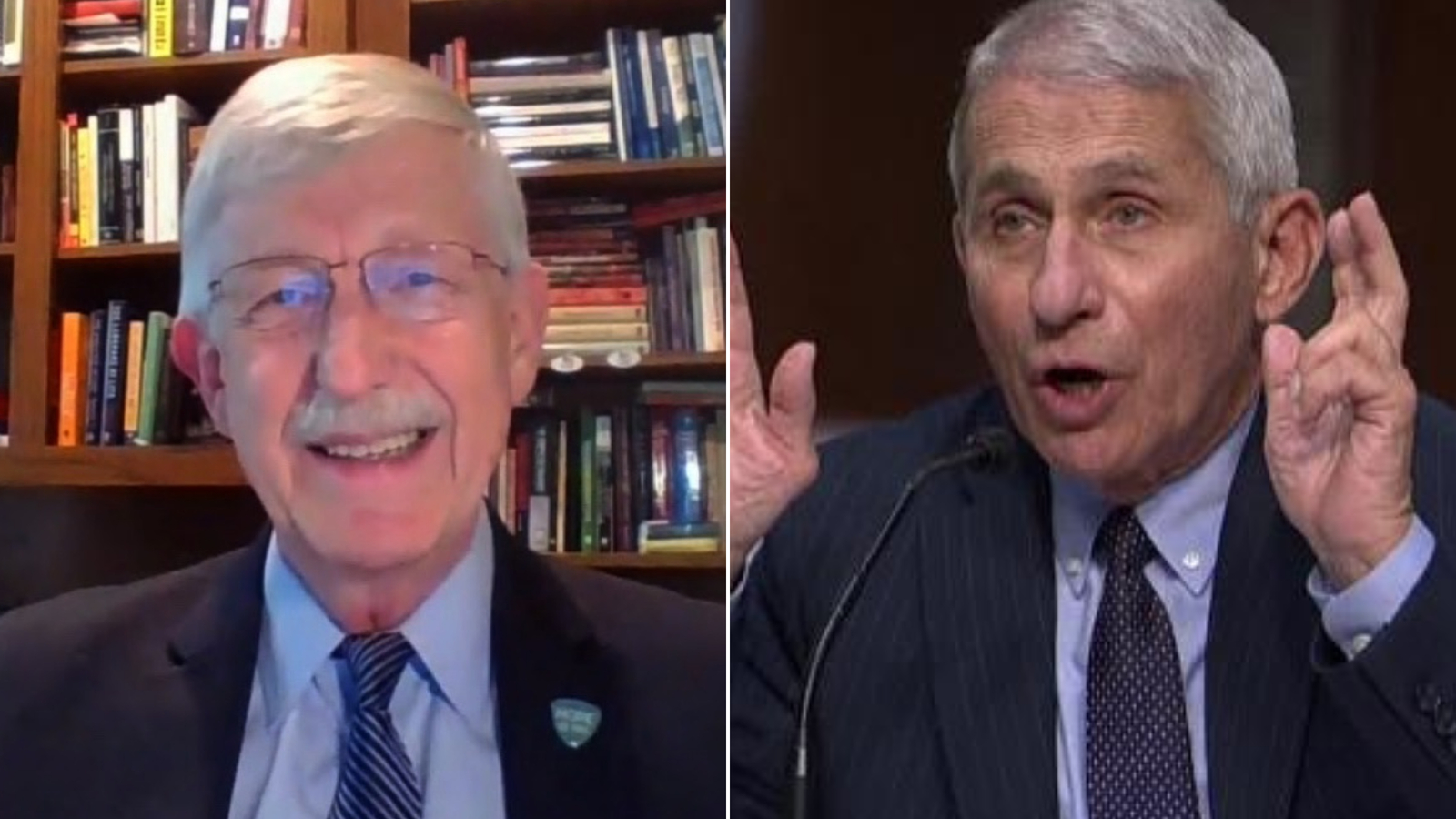 Hear What Anthony Fauci S Boss Would Do If Trump Asked To Fire Fauci Cnn Video