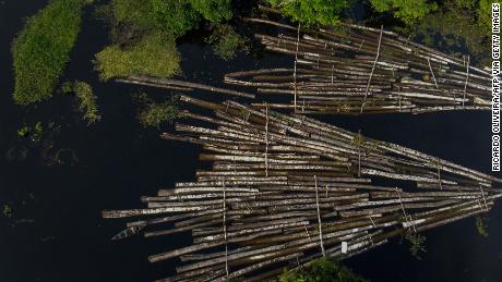 An aerial view of some of 900 logs from illegal cutting that were seized by the Amazon Military Police in Amazonas State, Brazil.