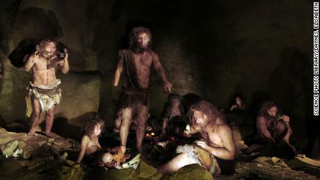 Is there a low pain threshold?  You can be a part of neanderthal