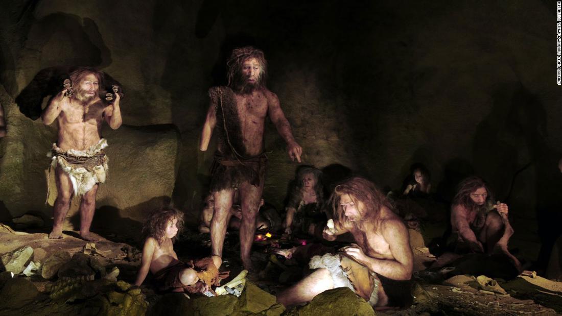 ADN Neandertal Extraído De La Tierra Revela Estilo De Vida Prehistórico ...