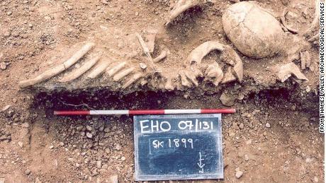 Tenth century Viking remains found in a mass grave were part of the study. 