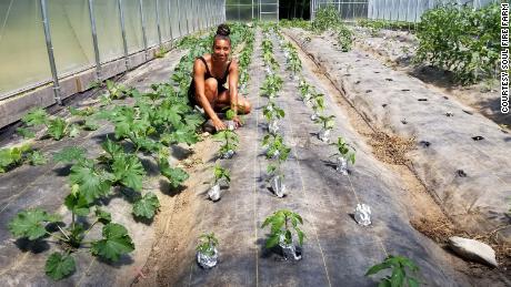 Why a new generation of Black farmers is getting into the business