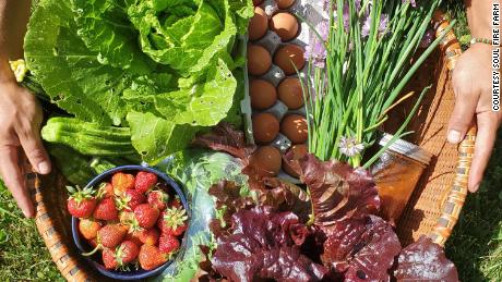 Fruits, vegetables, herbs and eggs from Soul Fire Farm. 