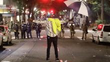 AMPHIKTYON.BLOGSPOT.COM: Shocking scenes in America A demonstrators