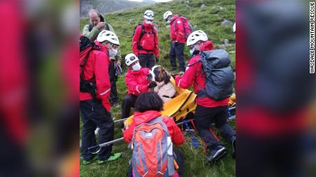 Rescuers put Daisy on a stretcher to safely bring her down Scafell Pike. 