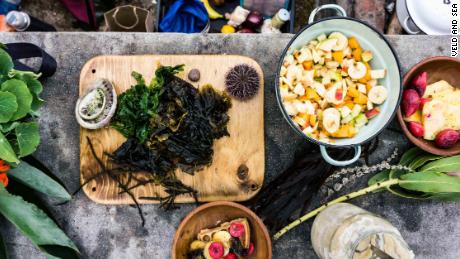 Return to the wild: The chef bringing foraged food to the table