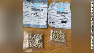Warnings about unsolicited packages of seeds that appear to be coming from China have now extended to all 50 states.