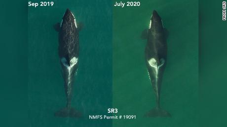 Aerial images of L72 in September 2019 and now in July 2020.