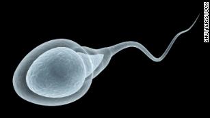 [Image: 200731130539-human-sperm-stock-medium-plus-169.jpg]