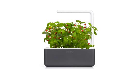 Click & Grow Smart Garden 3 Self-Watering Indoor Garden