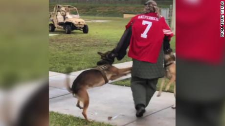 Navy investigating incident in which Navy SEAL Museum used a Colin Kaepernick &#39;target&#39; for military dog demonstration