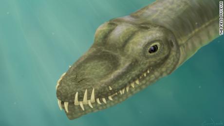 Scientists have unraveled the riddle of a real-life sea monster