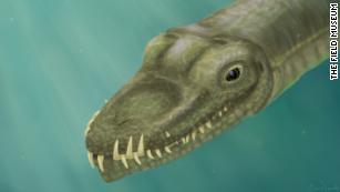 30-Foot 'Terror Crocodile' Ambushed Dinosaurs at Water's Edge, Smart News