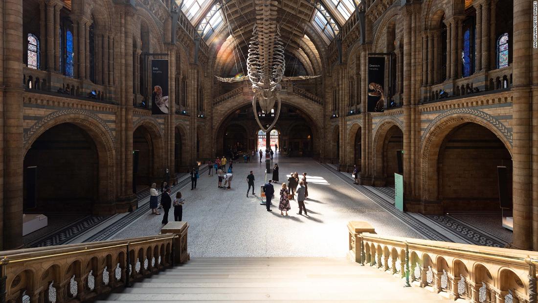 Visitors enjoy the lobby exhibits during the reopening of the Natural History Museum in London on August 5.