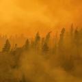 05 west wildfires 0818