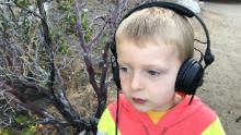 Try this night walk: A listening adventure for you and your kids