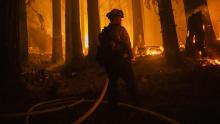 A firefighter battles flames in Santa Cruz County, California, on Thursday, August 20.