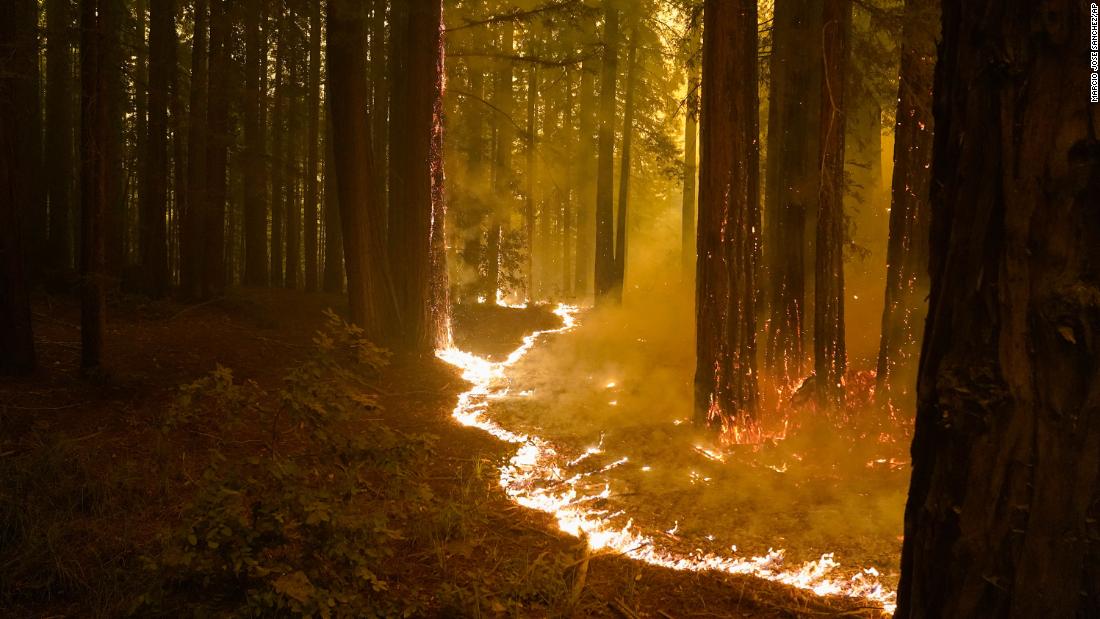A forest burns in Bonny Doon on August 20, 2020.