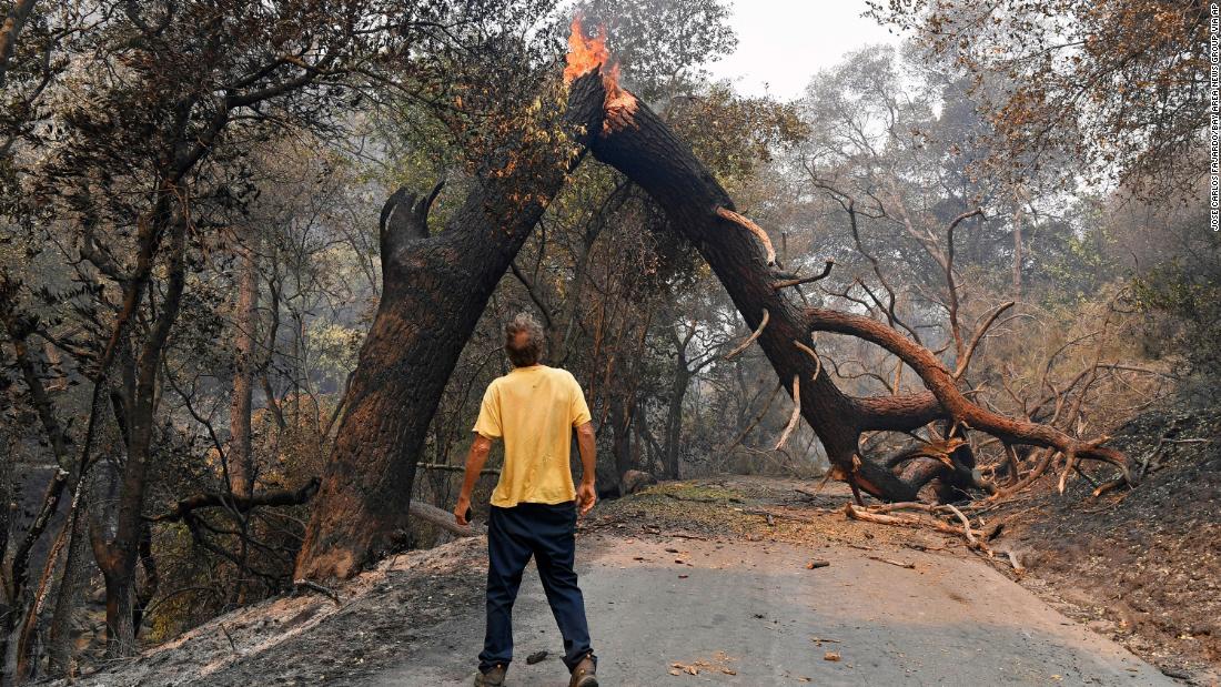 A man looks at a tree blocking his way after a fire ravaged Vacaville, California, on August 20.